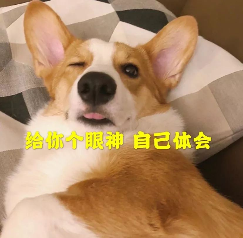 DƬ
